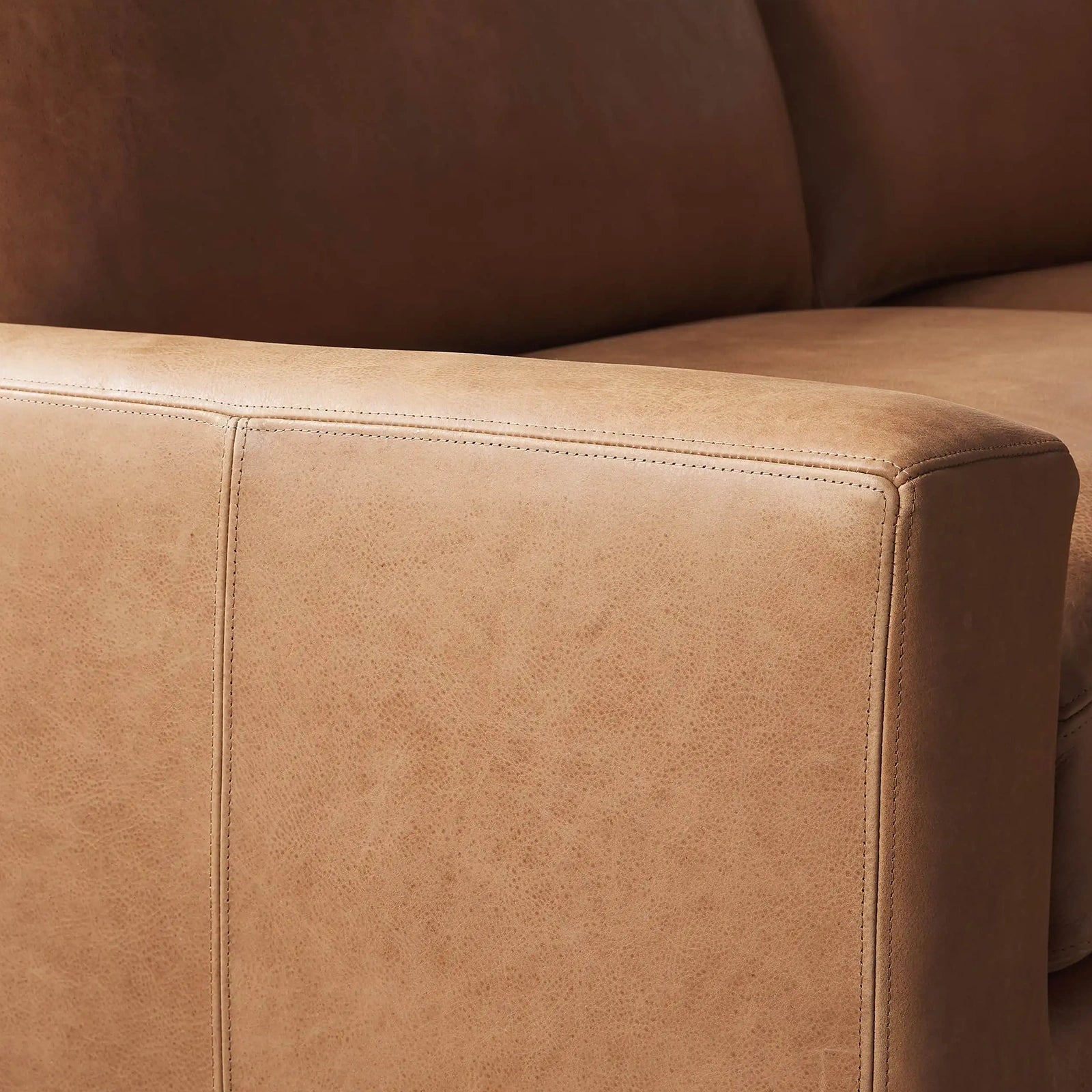 Reamington Leather Two-Piece Sectional